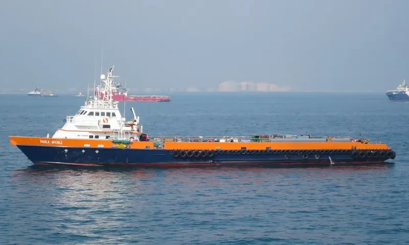 PAULA MCCALL General Cargo IMO 9561435 photo 6