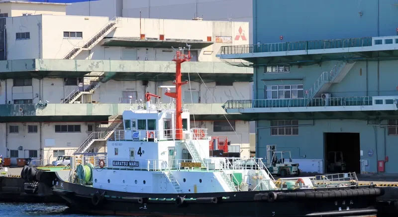 HEXEN ARGO 009 General Cargo IMO 9561459 photo 4