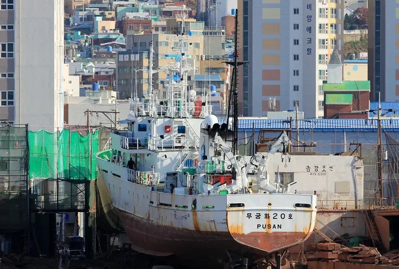 BADARO2 General Cargo IMO 9561473 photo 4