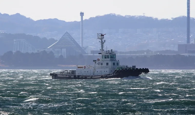 AWAJI MARU General Cargo IMO 9561538 photo 2