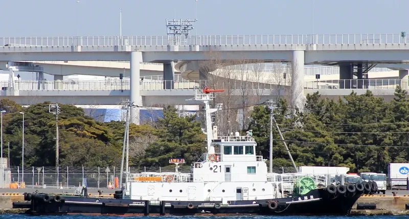 AWAJI MARU General Cargo IMO 9561538 photo 4