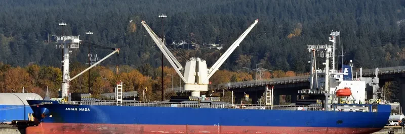 ASIAN NAGA General Cargo IMO 9561631