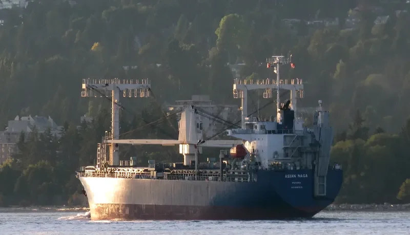 ASIAN NAGA General Cargo IMO 9561631 photo 2