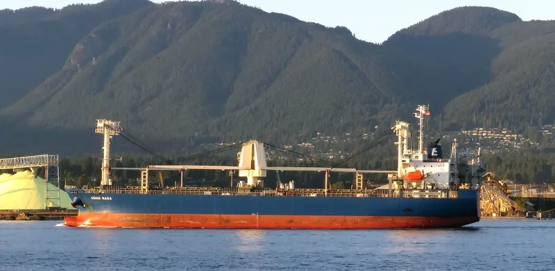 ASIAN NAGA General Cargo IMO 9561631 photo 3