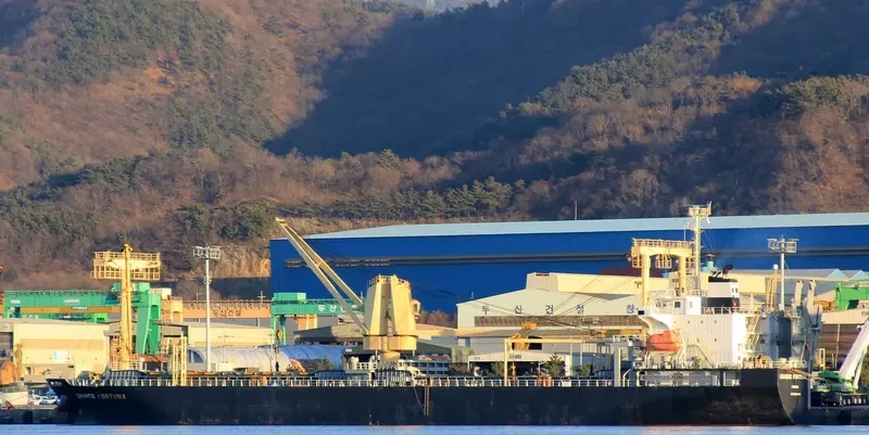 GRANDE FORTUNA General Cargo IMO 9561643 photo 3