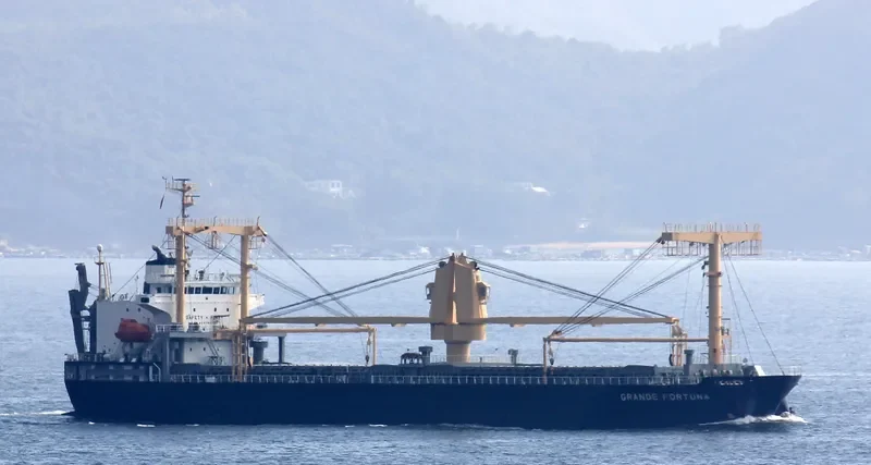 GRANDE FORTUNA General Cargo IMO 9561643 photo 4