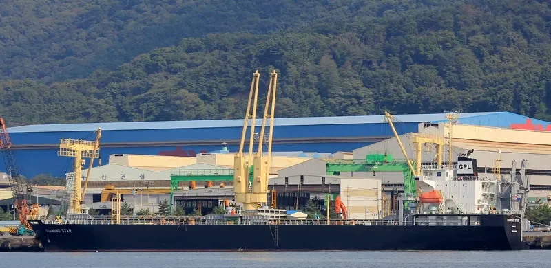 DIAMOND STAR General Cargo IMO 9561655 photo 2