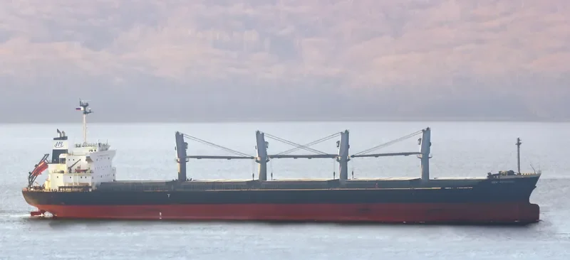 MARIA 1921 Bulk Carrier IMO 9561796 photo 7