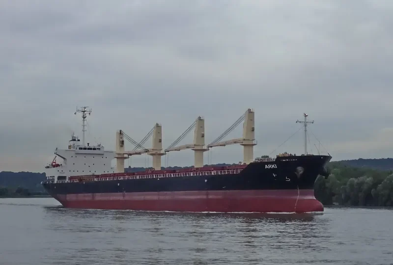 ARKI Bulk Carrier IMO 9561801 photo 2