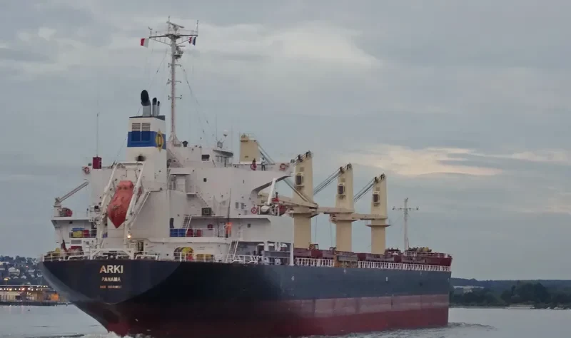 ARKI Bulk Carrier IMO 9561801 photo 3