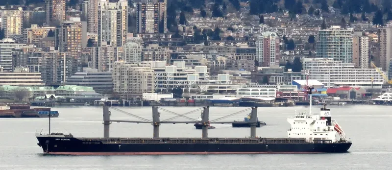 NEW GENERAL Bulk Carrier IMO 9561813 photo 3