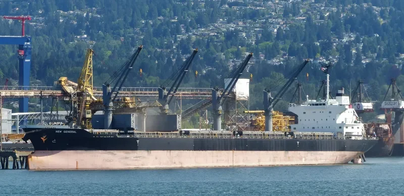 NEW GENERAL Bulk Carrier IMO 9561813 photo 5