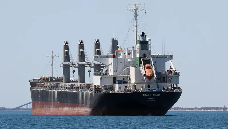 PRIDE Bulk Carrier IMO 9561825