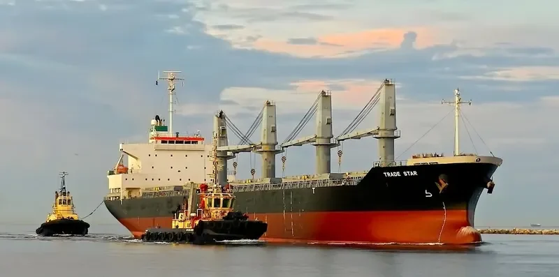 PRIDE Bulk Carrier IMO 9561825 photo 7