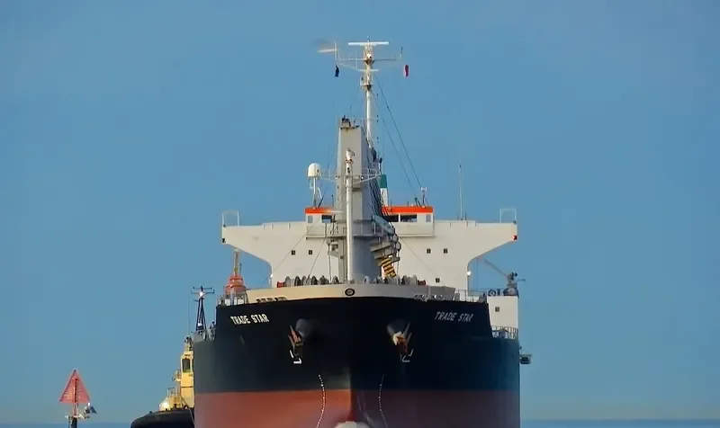 PRIDE Bulk Carrier IMO 9561825 photo 8
