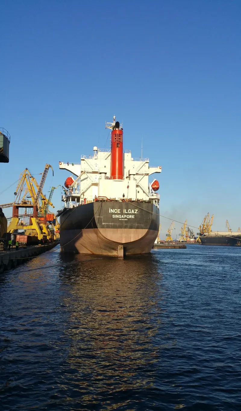 INCE ILGAZ Bulk Carrier IMO 9561863 photo 8