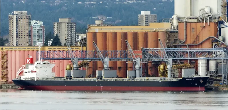 APOGEE SPIRIT Bulk Carrier IMO 9561875 photo 4