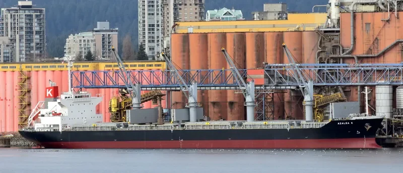 APOGEE SPIRIT Bulk Carrier IMO 9561875 photo 5