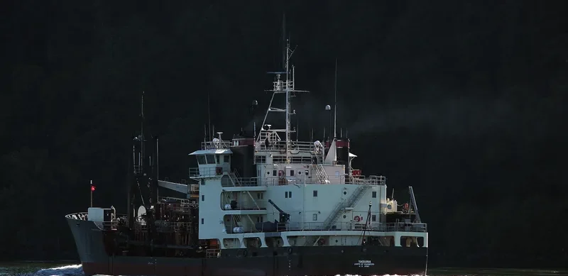 APOGEE SPIRIT Bulk Carrier IMO 9561875 photo 9