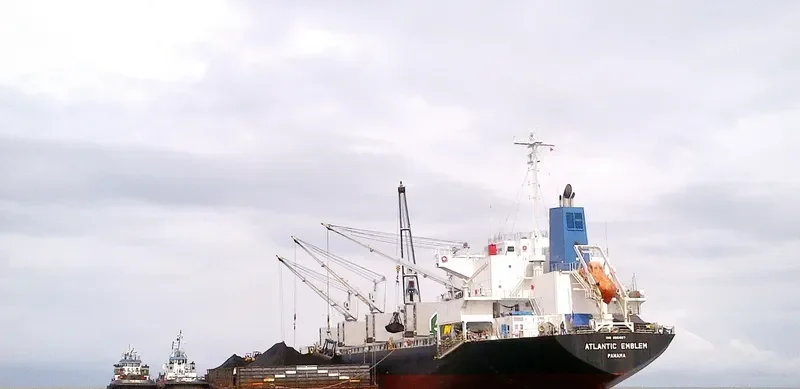 BC GRACE Bulk Carrier IMO 9561887