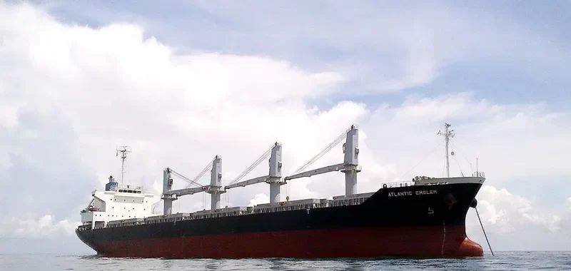 BC GRACE Bulk Carrier IMO 9561887 photo 3