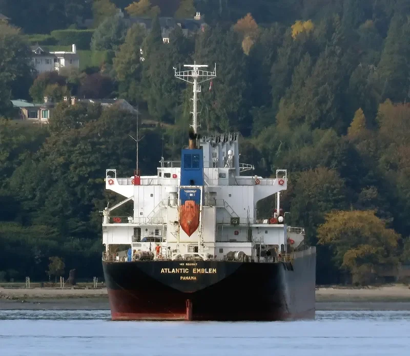 BC GRACE Bulk Carrier IMO 9561887 photo 6