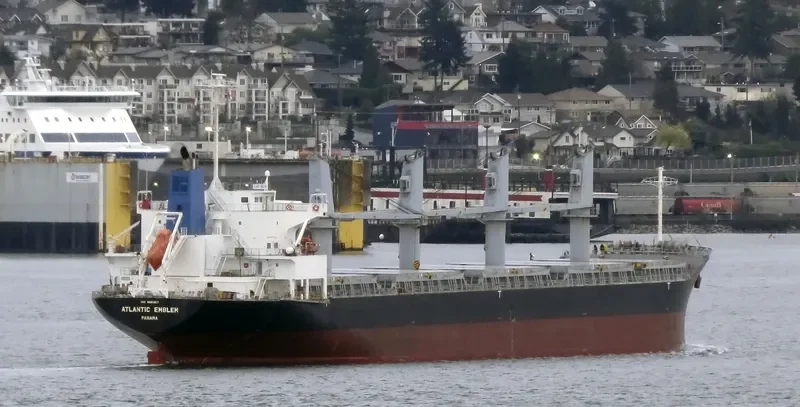 BC GRACE Bulk Carrier IMO 9561887 photo 9