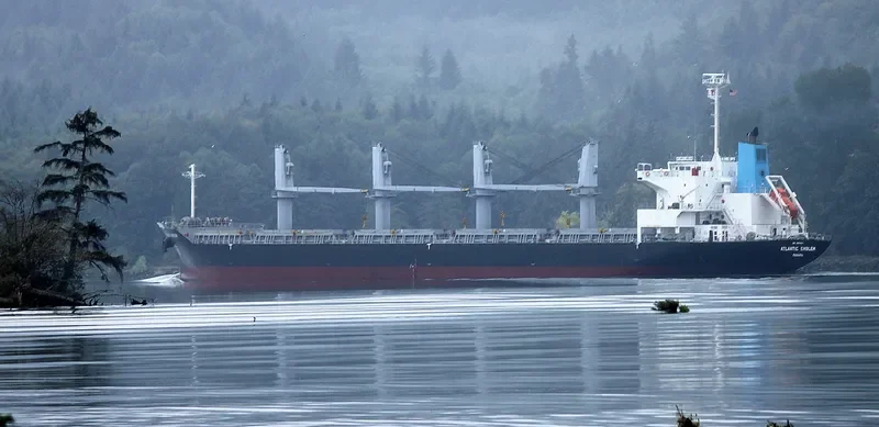BC GRACE Bulk Carrier IMO 9561887 photo 10