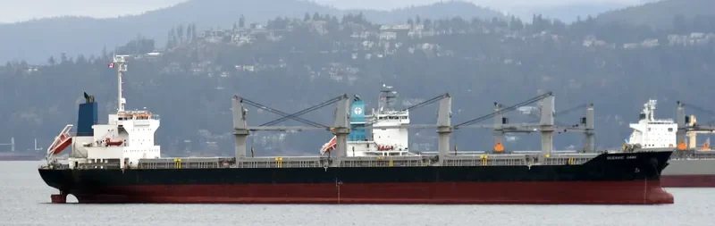 OCEANIC ISLAND Bulk Carrier IMO 9561899