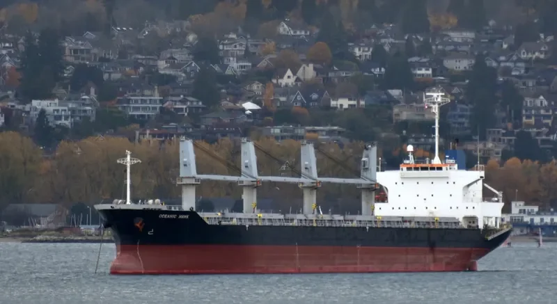 OCEANIC ISLAND Bulk Carrier IMO 9561899 photo 3