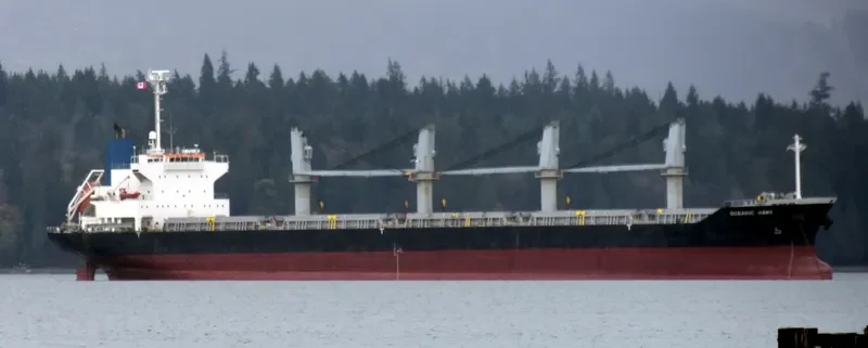OCEANIC ISLAND Bulk Carrier IMO 9561899 photo 4