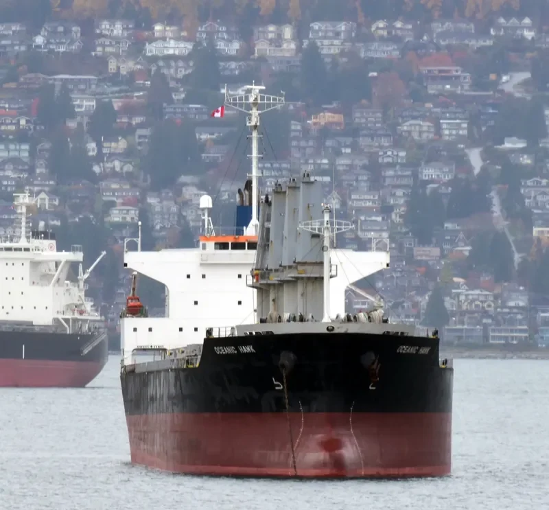 OCEANIC ISLAND Bulk Carrier IMO 9561899 photo 5