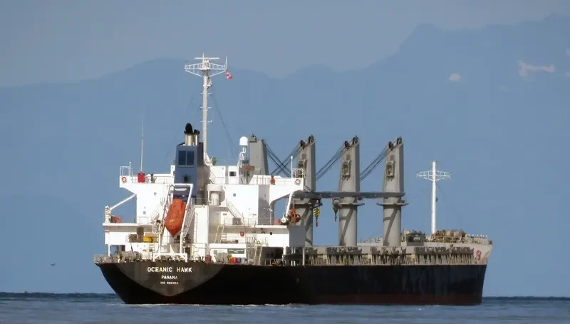OCEANIC ISLAND Bulk Carrier IMO 9561899 photo 7