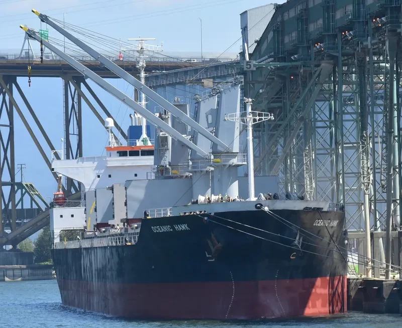 OCEANIC ISLAND Bulk Carrier IMO 9561899 photo 9