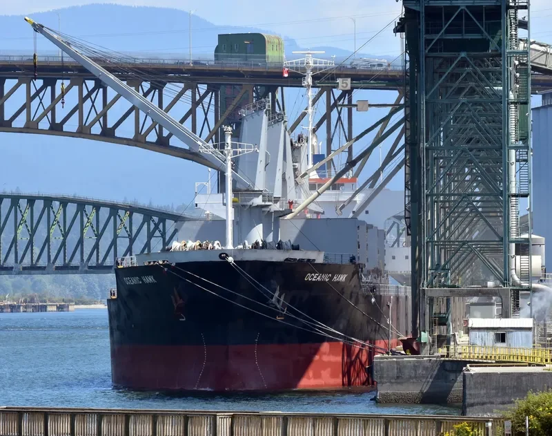 OCEANIC ISLAND Bulk Carrier IMO 9561899 photo 10