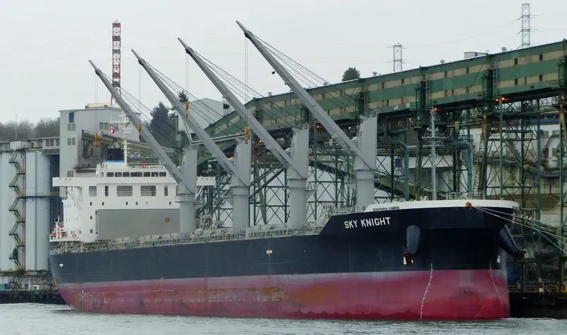 SKY KNIGHT Bulk Carrier IMO 9561942
