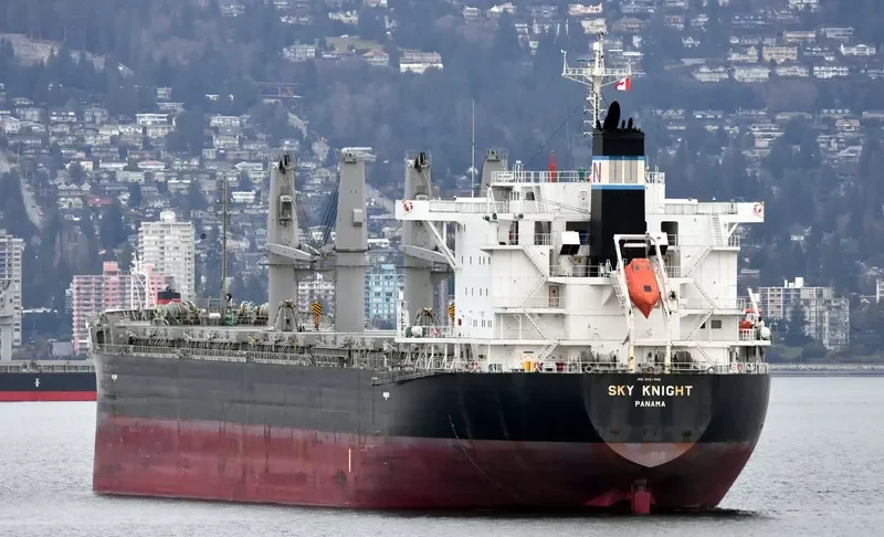 SKY KNIGHT Bulk Carrier IMO 9561942 photo 3