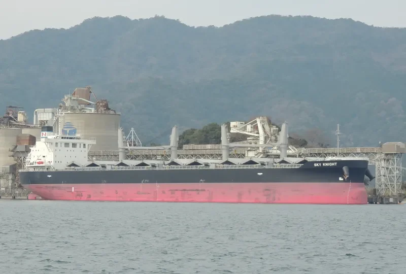 SKY KNIGHT Bulk Carrier IMO 9561942 photo 10