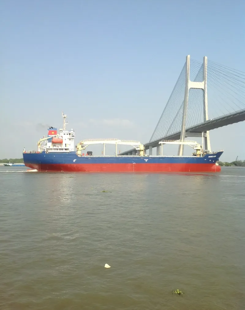 MINH HUY 19 Bulk Carrier IMO 9561978 photo 5