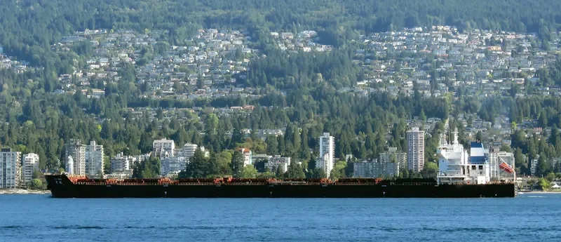 JIN HANG Bulk Carrier IMO 9562049 photo 3