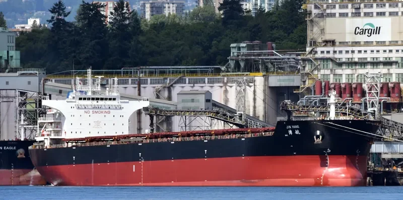 JIN HANG Bulk Carrier IMO 9562049 photo 4
