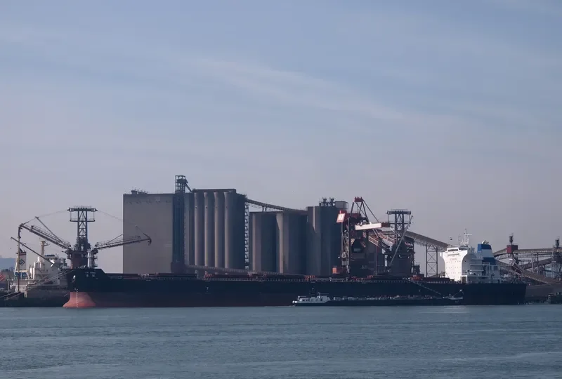 JIN HANG Bulk Carrier IMO 9562049 photo 10