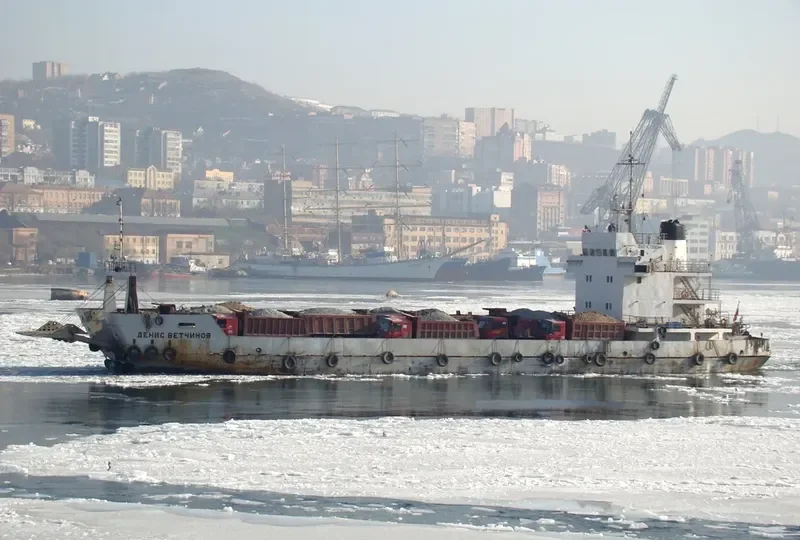 DENIS VETCHINOV Ro-Ro IMO 9562178