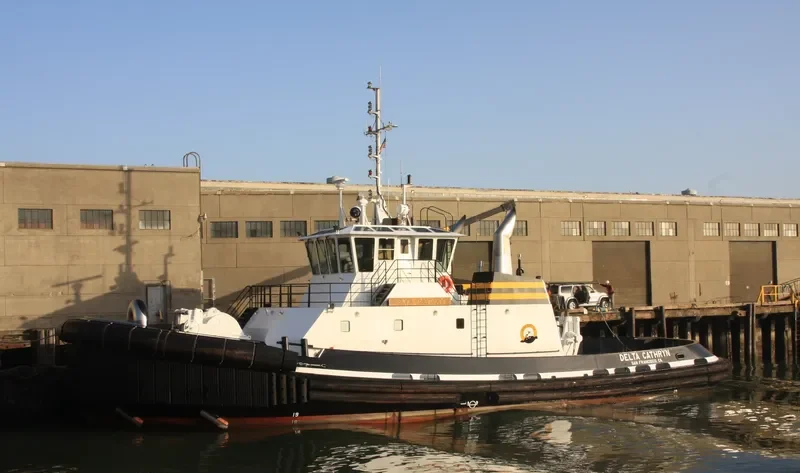 DELTA CATHRYN General Cargo IMO 9562219 photo 6