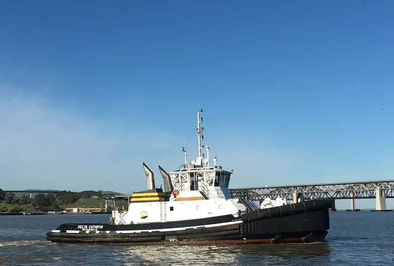 DELTA CATHRYN General Cargo IMO 9562219 photo 7