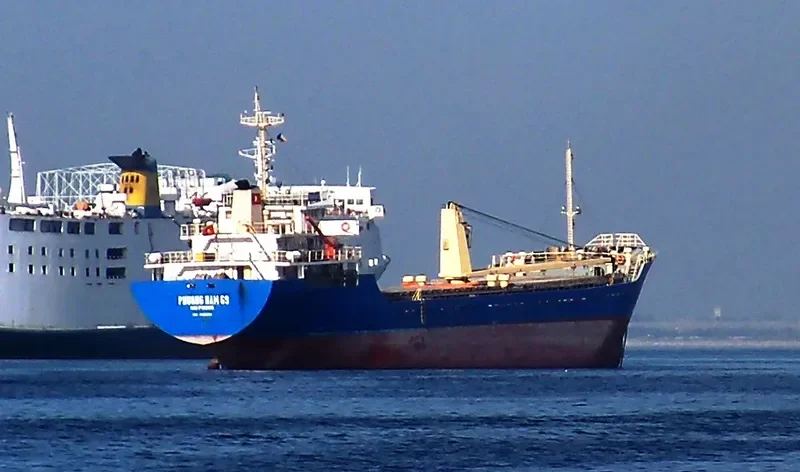 PHUONG NAM 69 Bulk Carrier IMO 9562386