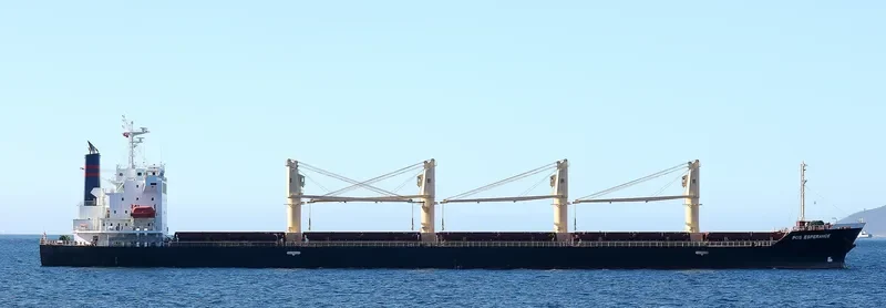 EOS ESPERANCE Bulk Carrier IMO 9562453