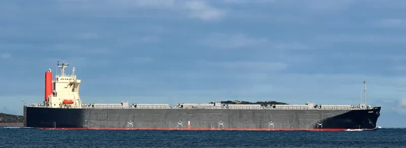 YOZAN Bulk Carrier IMO 9562491 photo 9