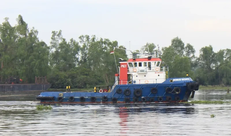 BOMAS SEDAYU General Cargo IMO 9562946