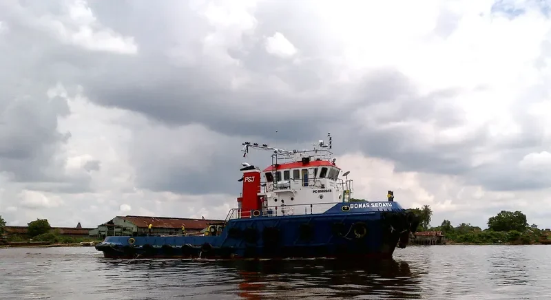 BOMAS SEDAYU General Cargo IMO 9562946 photo 9